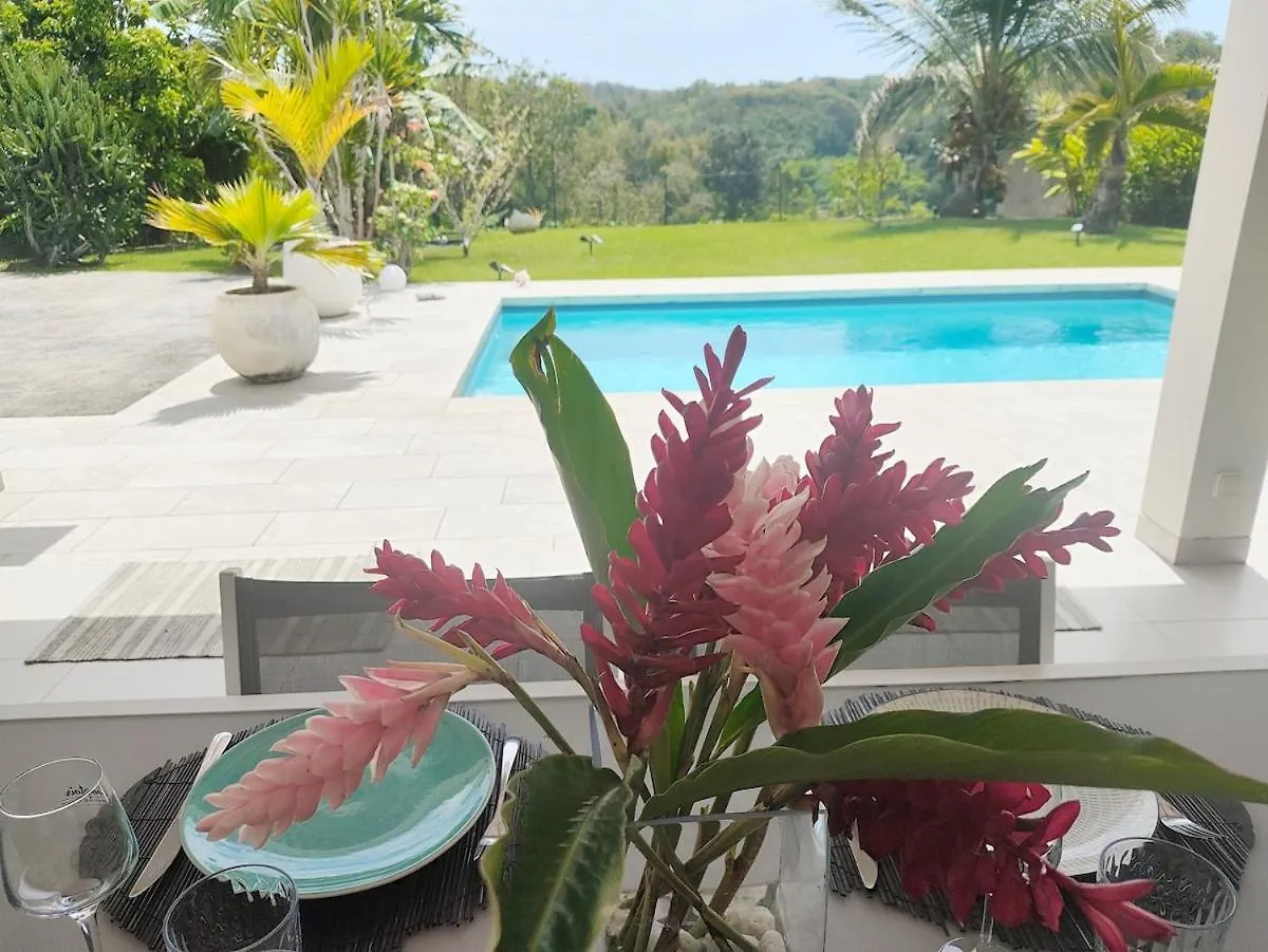 Villa Tresor Des Hauts Avec Piscine Et Jardin Le Gosier   Le Gosier (Grande-Terre)